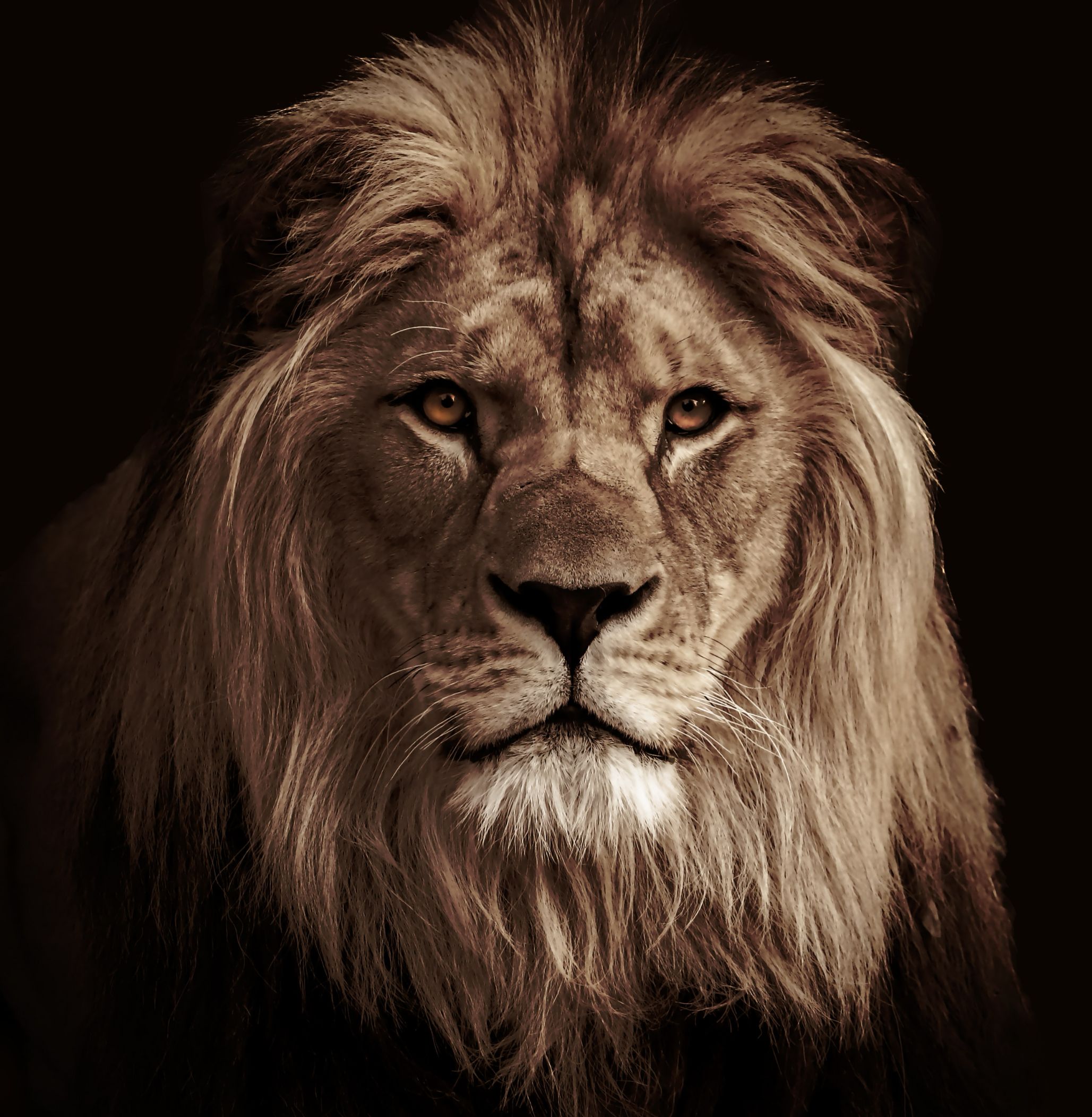 God's Glory 4 for this Generation  Okt26 - GG4 für junge Erwachsene