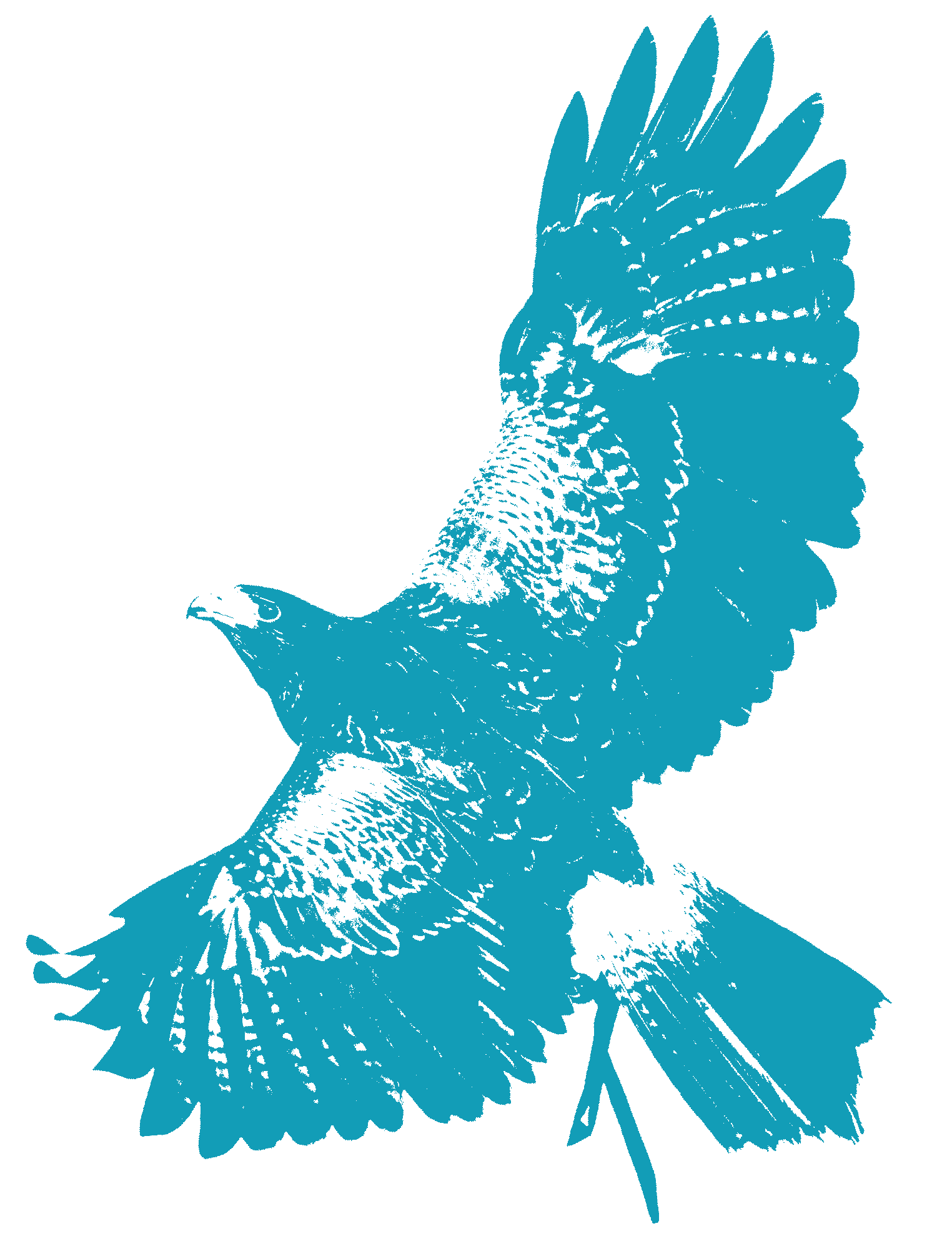 P3 Bad Teinach - März26